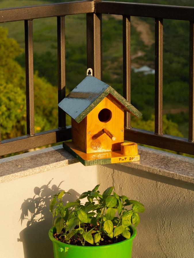 Apartment Village House Ravno ภายนอก รูปภาพ