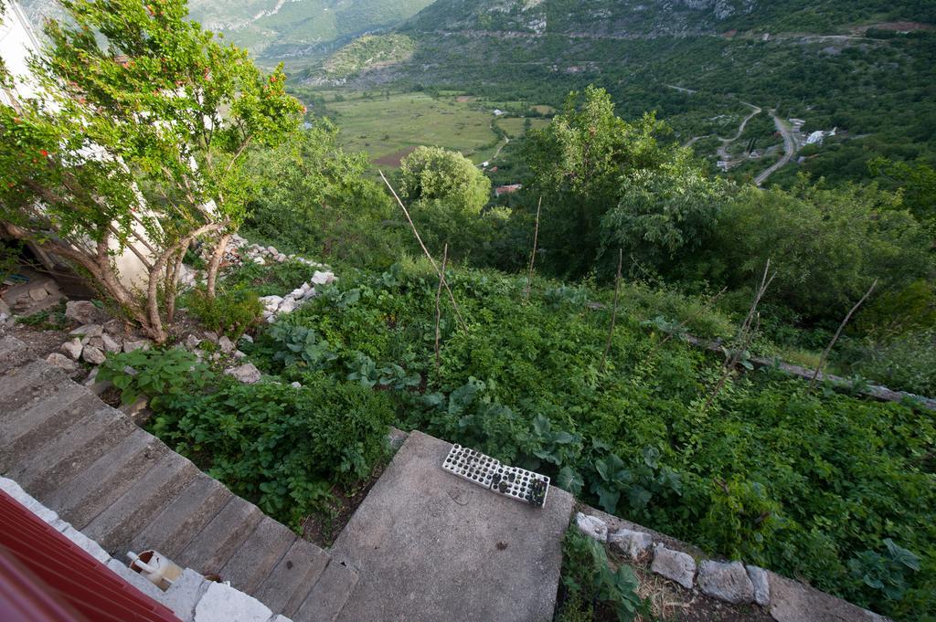 Apartment Village House Ravno ภายนอก รูปภาพ